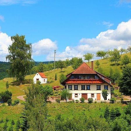 Ferienhaus Hubhof Oberharmersbach Extérieur photo