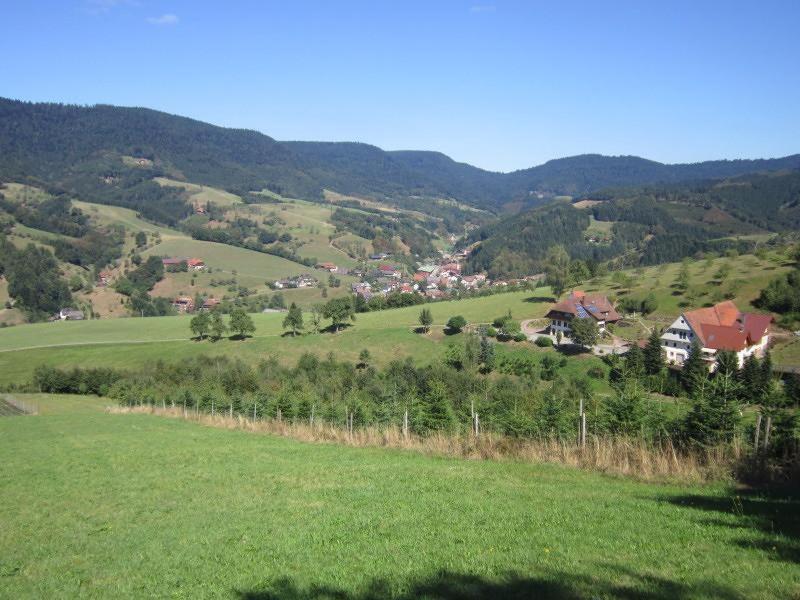 Ferienhaus Hubhof Oberharmersbach Extérieur photo
